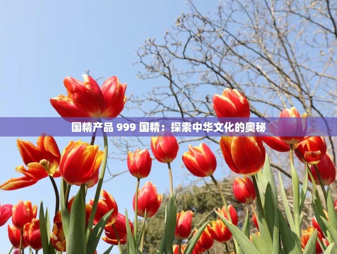 国精产品 999 国精：探索中华文化的奥秘