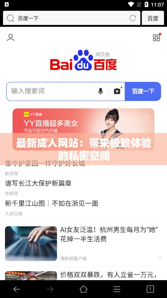 最新成人网站：带来极致体验的私密空间