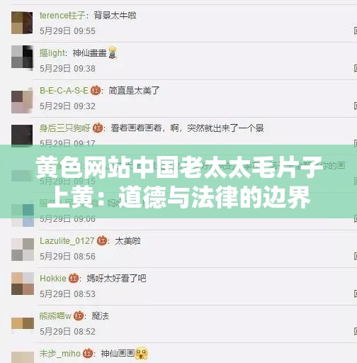 黄色网站中国老太太毛片子上黄：道德与法律的边界