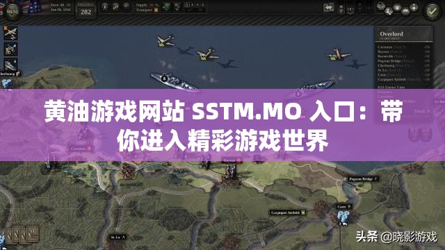 黄油游戏网站 SSTM.MO 入口：带你进入精彩游戏世界