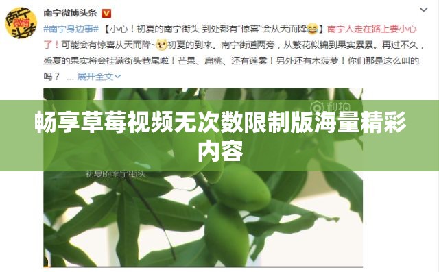 畅享草莓视频无次数限制版海量精彩内容