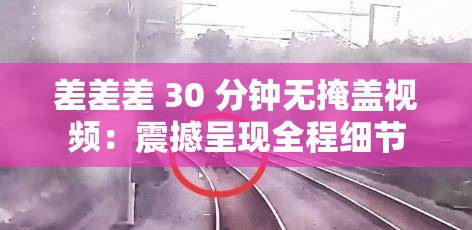 差差差 30 分钟无掩盖视频：震撼呈现全程细节
