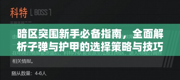 暗区突围新手必备指南，全面解析子弹与护甲的选择策略与技巧
