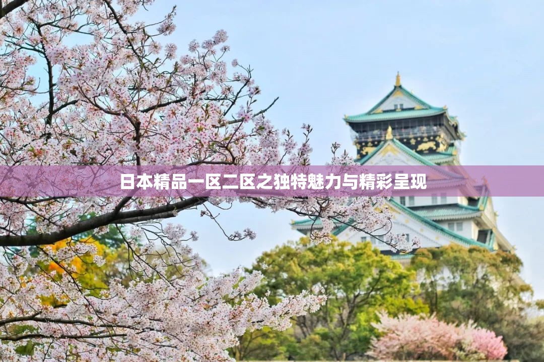 日本精品一区二区之独特魅力与精彩呈现