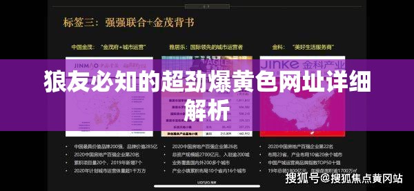 狼友必知的超劲爆黄色网址详细解析