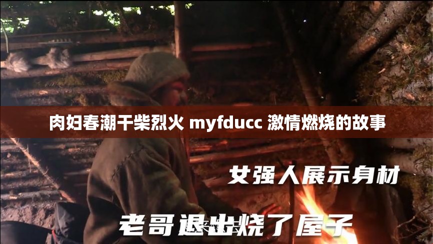 肉妇春潮干柴烈火 myfducc 激情燃烧的故事