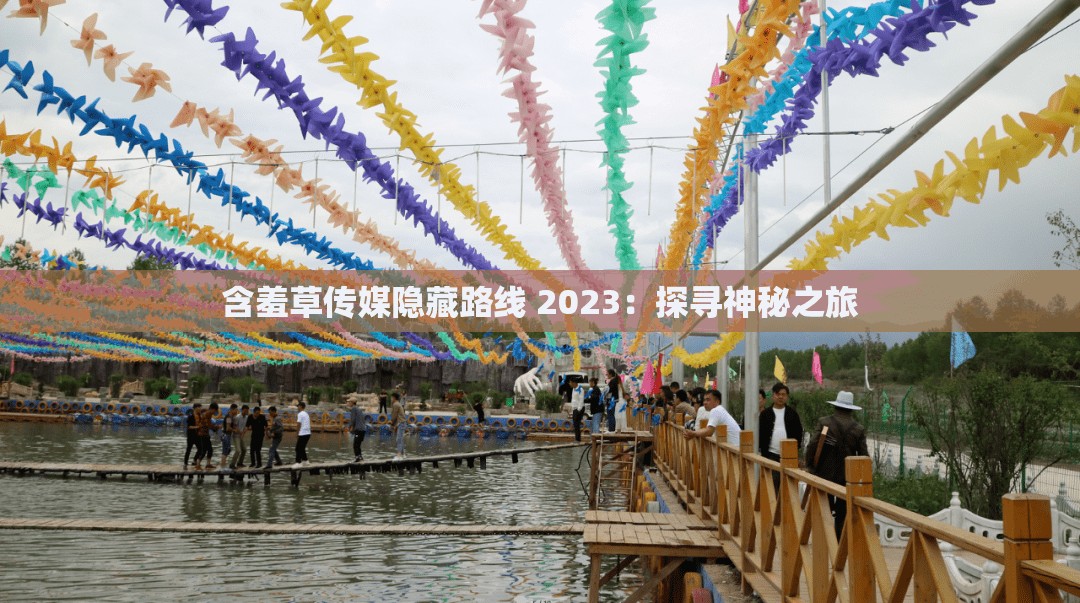 含羞草传媒隐藏路线 2023：探寻神秘之旅