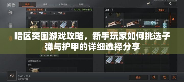 暗区突围游戏攻略，新手玩家如何挑选子弹与护甲的详细选择分享