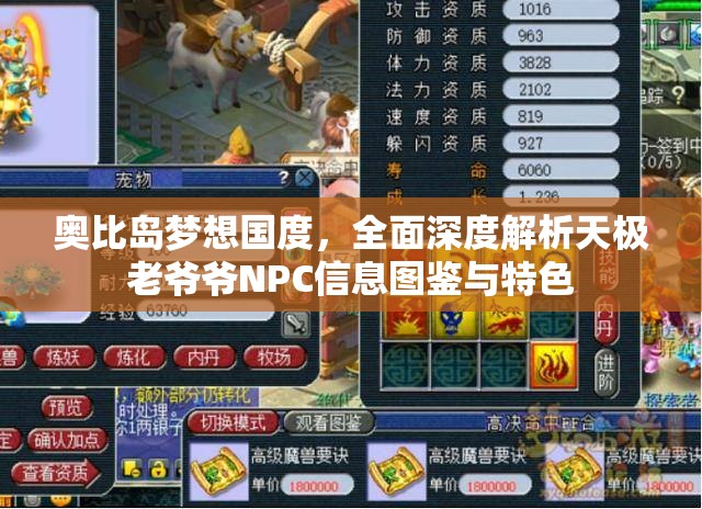 奥比岛梦想国度，全面深度解析天极老爷爷NPC信息图鉴与特色