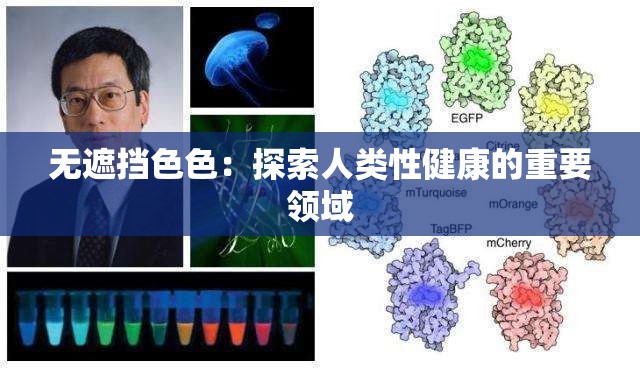 无遮挡色色：探索人类性健康的重要领域