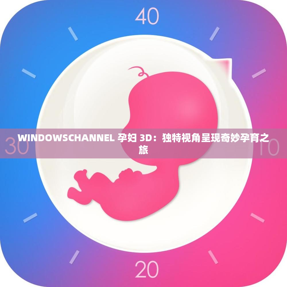 WINDOWSCHANNEL 孕妇 3D：独特视角呈现奇妙孕育之旅