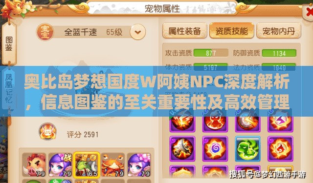 奥比岛梦想国度W阿姨NPC深度解析，信息图鉴的至关重要性及高效管理技巧