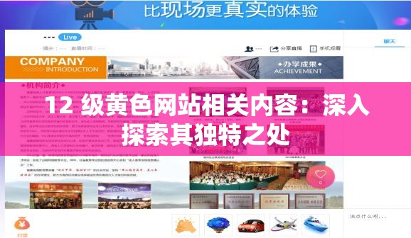 12 级黄色网站相关内容：深入探索其独特之处