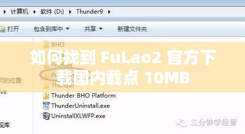 如何找到 FuLao2 官方下载国内载点 10MB
