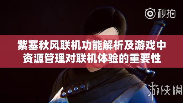 紫塞秋风联机功能解析及游戏中资源管理对联机体验的重要性