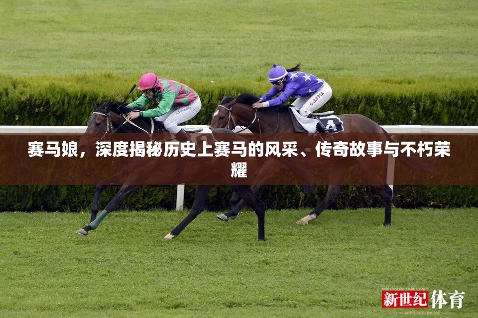 赛马娘，深度揭秘历史上赛马的风采、传奇故事与不朽荣耀