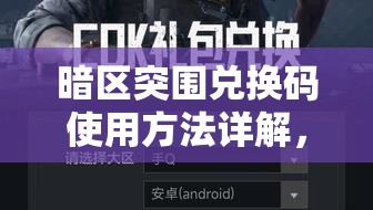 暗区突围兑换码使用方法详解，在资源管理中提升效率与重要性的策略分享