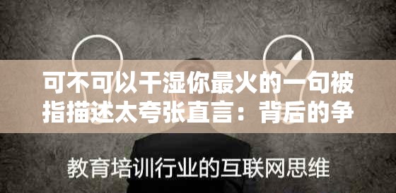 可不可以干湿你最火的一句被指描述太夸张直言：背后的争议与思考