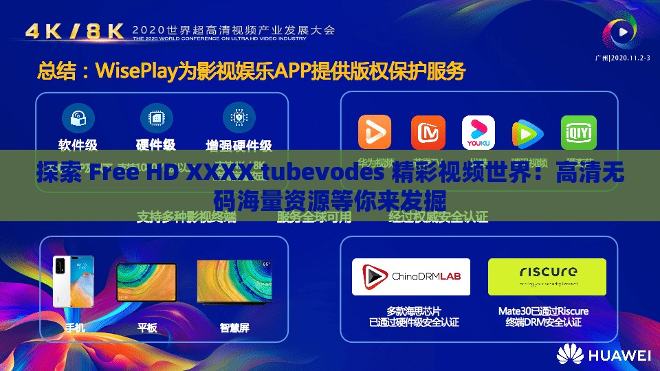 探索 Free HD XXXX tubevodes 精彩视频世界：高清无码海量资源等你来发掘