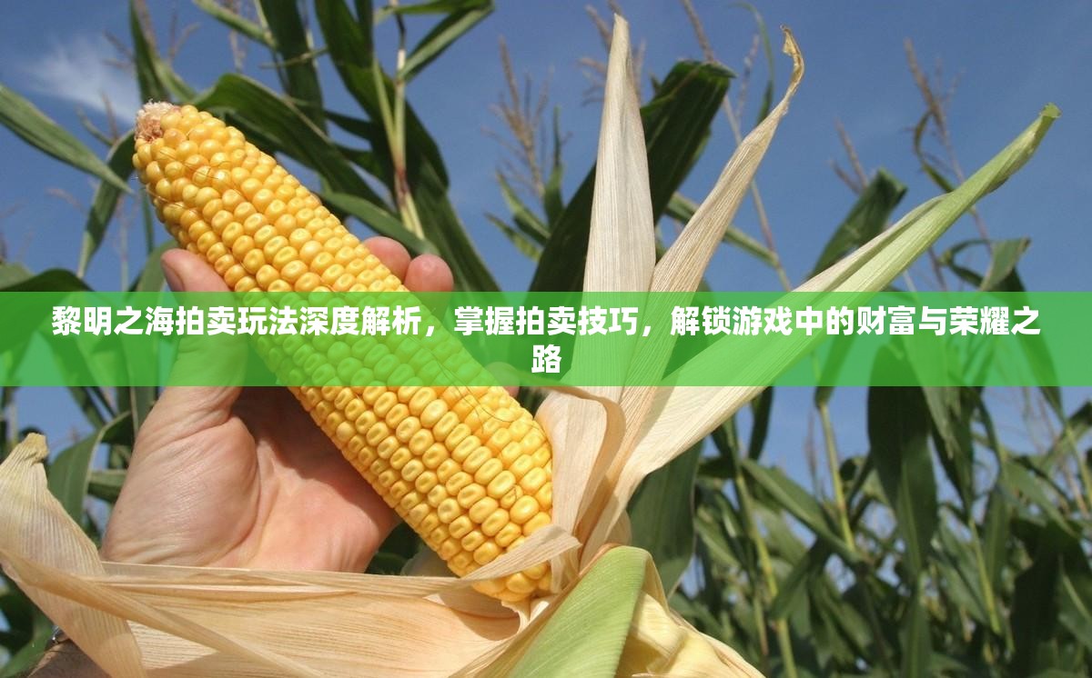 黎明之海拍卖玩法深度解析，掌握拍卖技巧，解锁游戏中的财富与荣耀之路