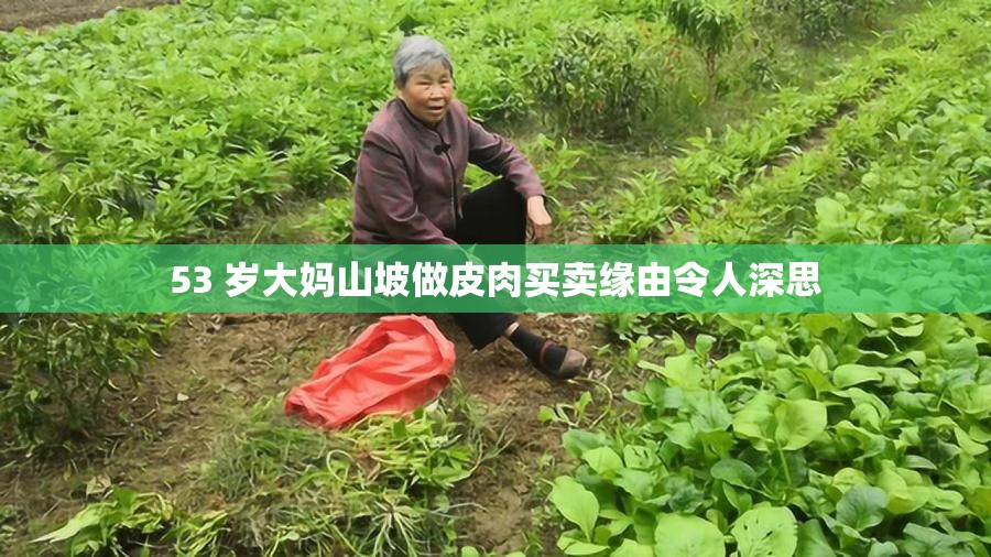 53 岁大妈山坡做皮肉买卖缘由令人深思