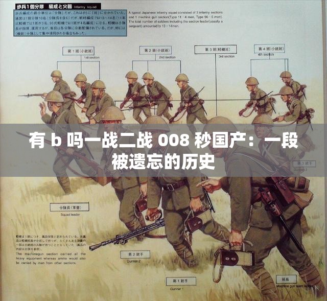 有 b 吗一战二战 008 秒国产：一段被遗忘的历史