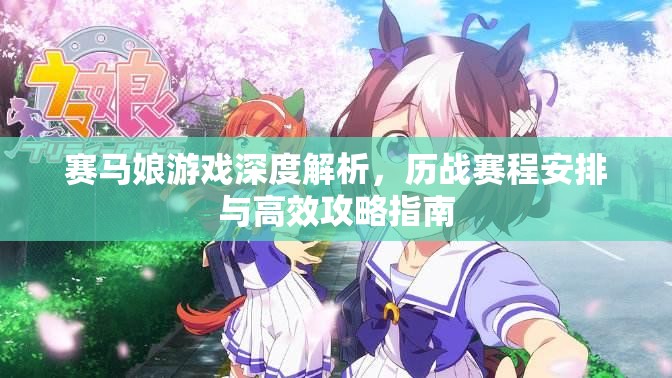 赛马娘游戏深度解析，历战赛程安排与高效攻略指南