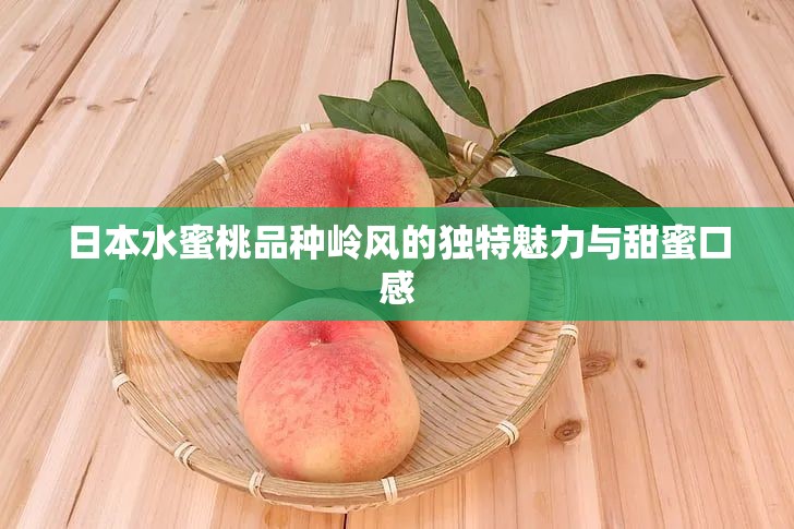 日本水蜜桃品种岭风的独特魅力与甜蜜口感