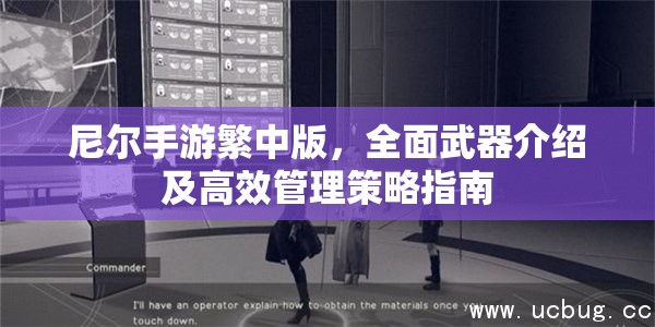 尼尔手游繁中版，全面武器介绍及高效管理策略指南