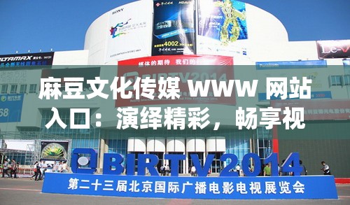 麻豆文化传媒 WWW 网站入口：演绎精彩，畅享视觉盛宴