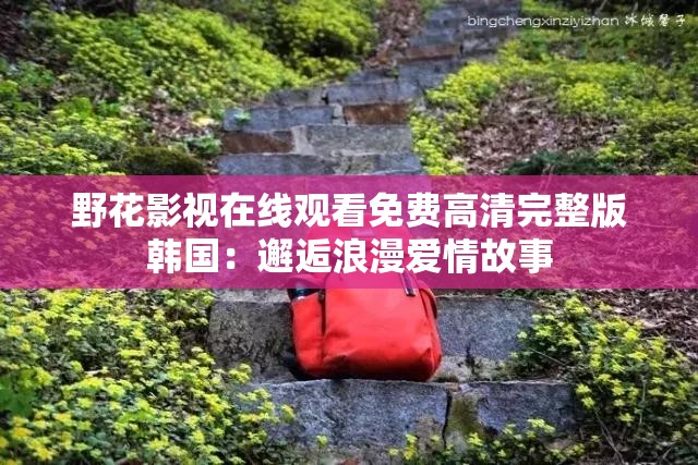 野花影视在线观看免费高清完整版韩国：邂逅浪漫爱情故事