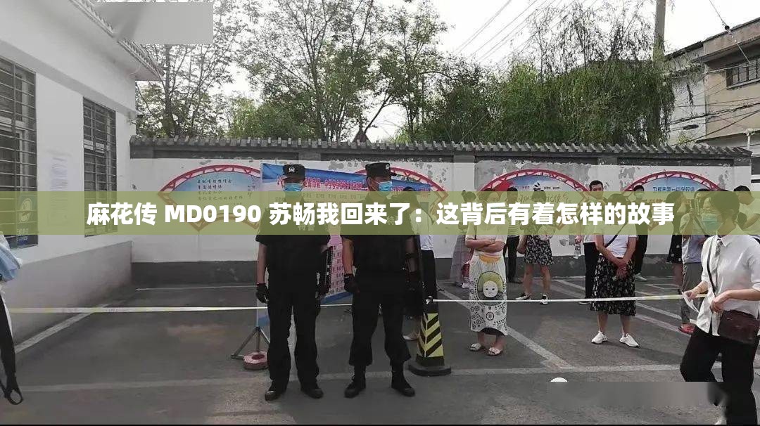 麻花传 MD0190 苏畅我回来了：这背后有着怎样的故事