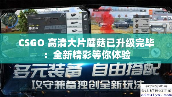 CSGO 高清大片蘑菇已升级完毕：全新精彩等你体验