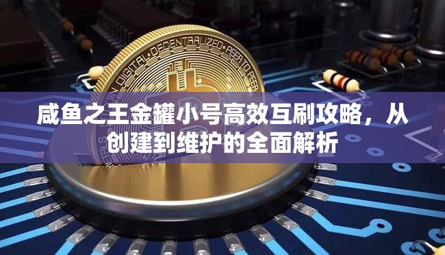 咸鱼之王金罐小号高效互刷攻略，从创建到维护的全面解析