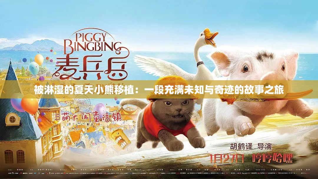 被淋湿的夏天小熊移植：一段充满未知与奇迹的故事之旅