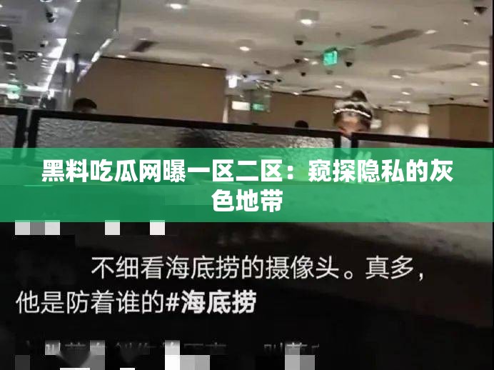 黑料吃瓜网曝一区二区：窥探隐私的灰色地带