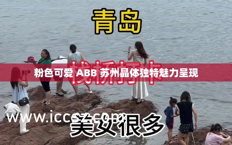 粉色可爱 ABB 苏州晶体独特魅力呈现