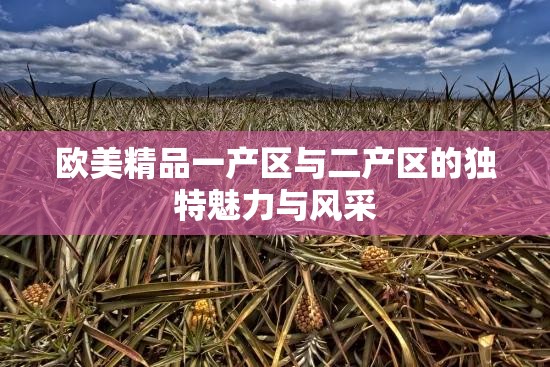欧美精品一产区与二产区的独特魅力与风采