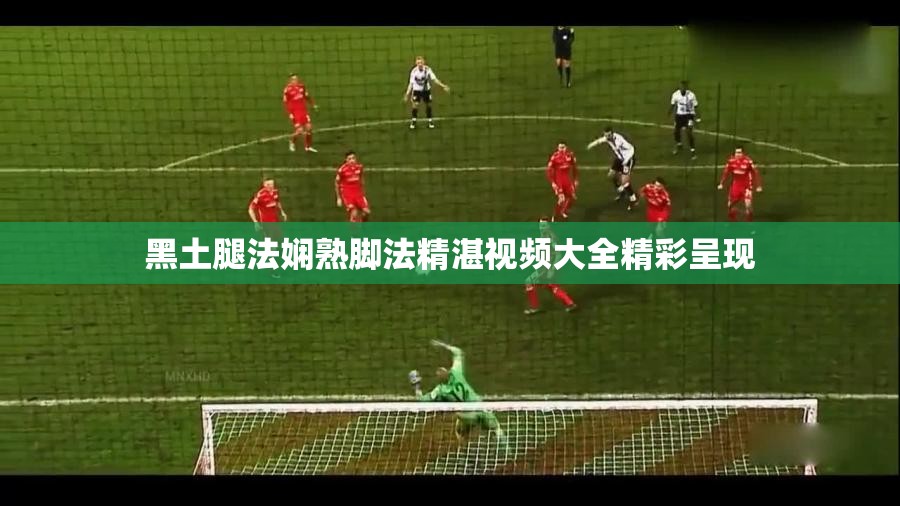 黑土腿法娴熟脚法精湛视频大全精彩呈现