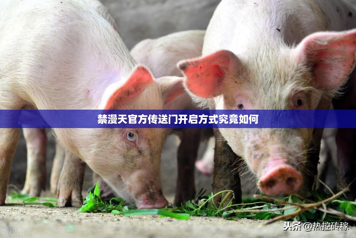 禁漫天官方传送门开启方式究竟如何
