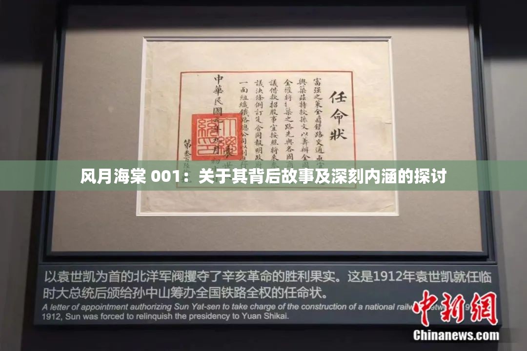风月海棠 001：关于其背后故事及深刻内涵的探讨