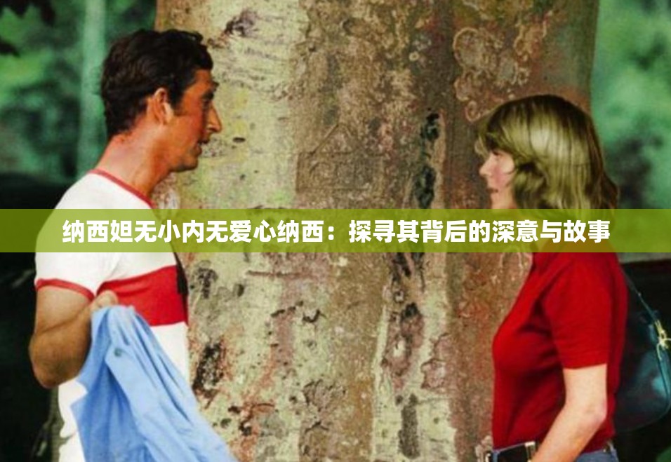 纳西妲无小内无爱心纳西：探寻其背后的深意与故事