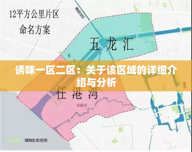 诱咪一区二区：关于该区域的详细介绍与分析