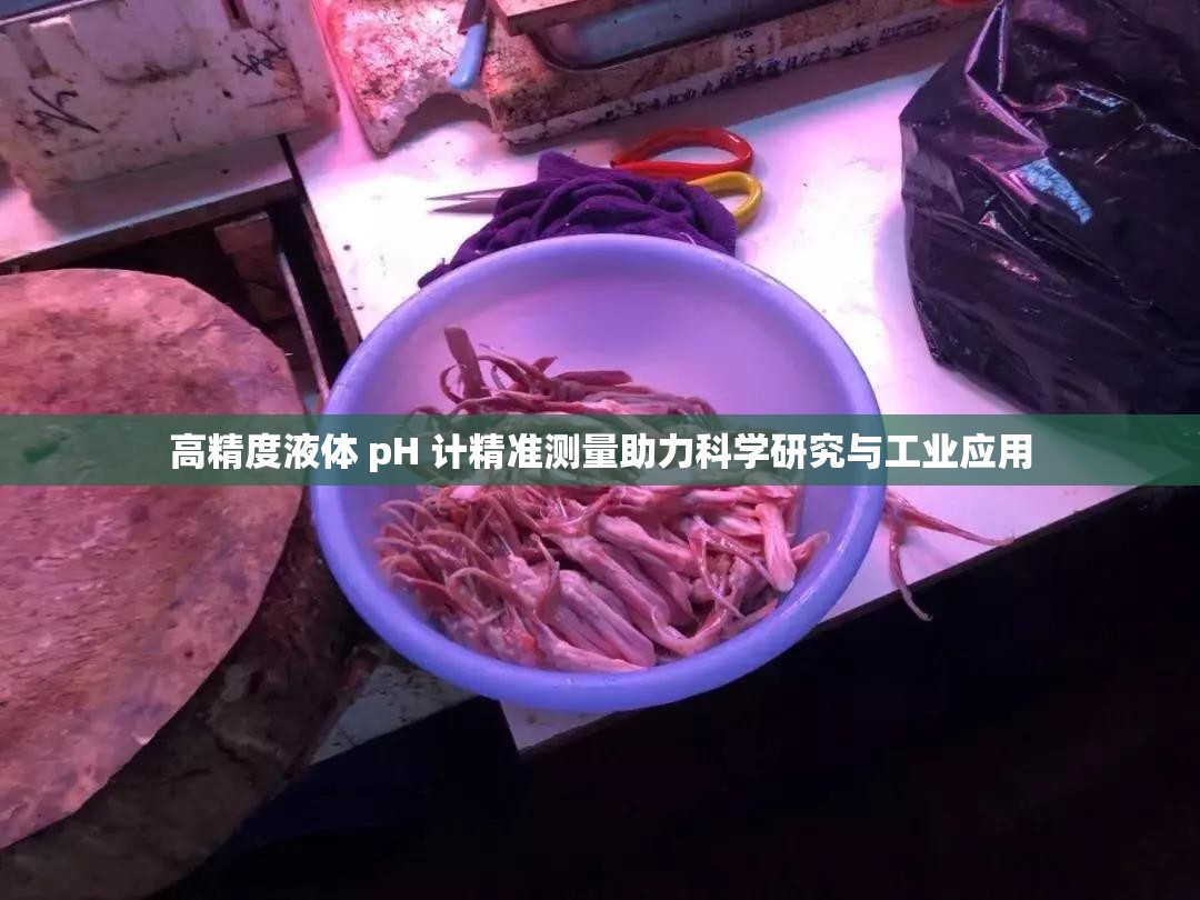高精度液体 pH 计精准测量助力科学研究与工业应用