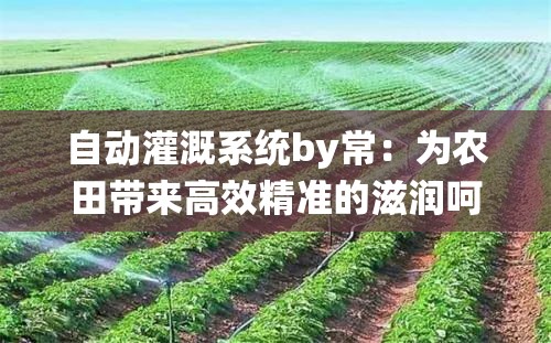 自动灌溉系统by常：为农田带来高效精准的滋润呵护