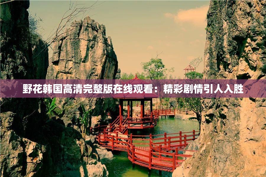 野花韩国高清完整版在线观看：精彩剧情引人入胜