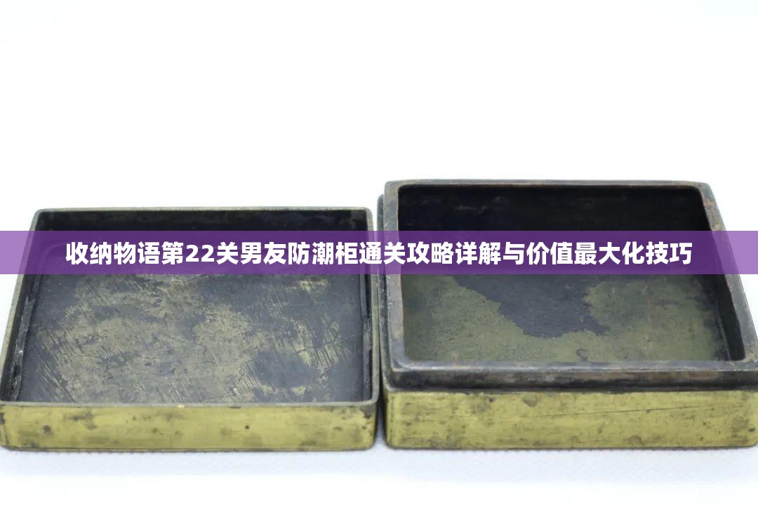 收纳物语第22关男友防潮柜通关攻略详解与价值最大化技巧