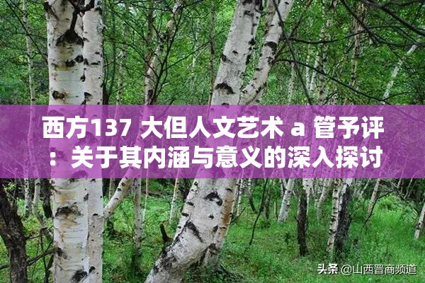 西方137 大但人文艺术 a 管予评：关于其内涵与意义的深入探讨