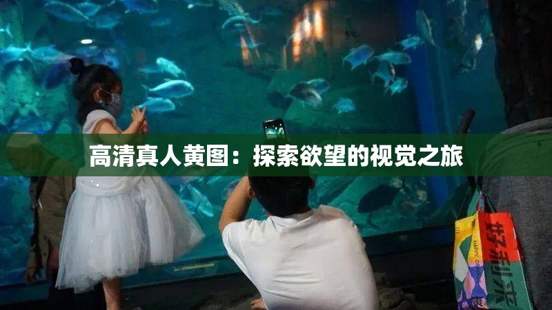 高清真人黄图：探索欲望的视觉之旅