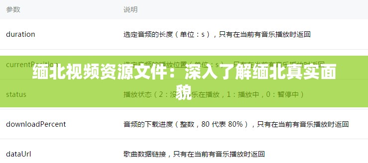 缅北视频资源文件：深入了解缅北真实面貌